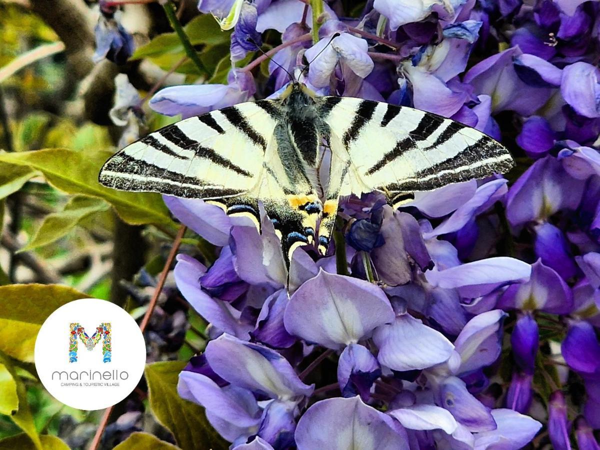 Marinello Camping & Touristic Village โอลิเวริ ภายนอก รูปภาพ